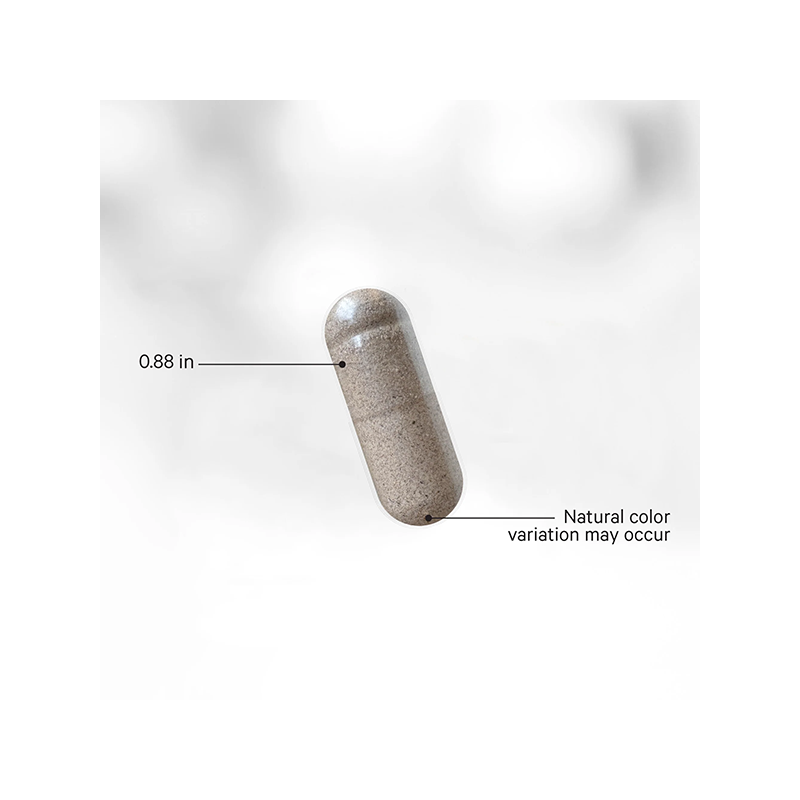 Codeage® InstantFood Five a Day - Whole Fruits Extracts Rich in Vitamins