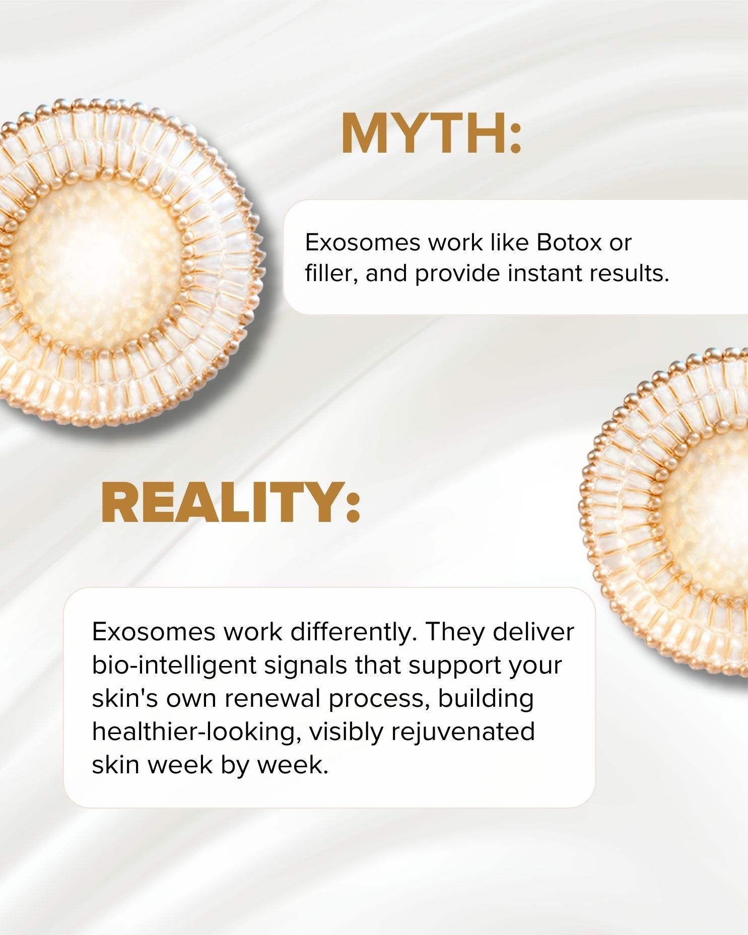 Elevai® Enfinity™ Exosome Daily Serum